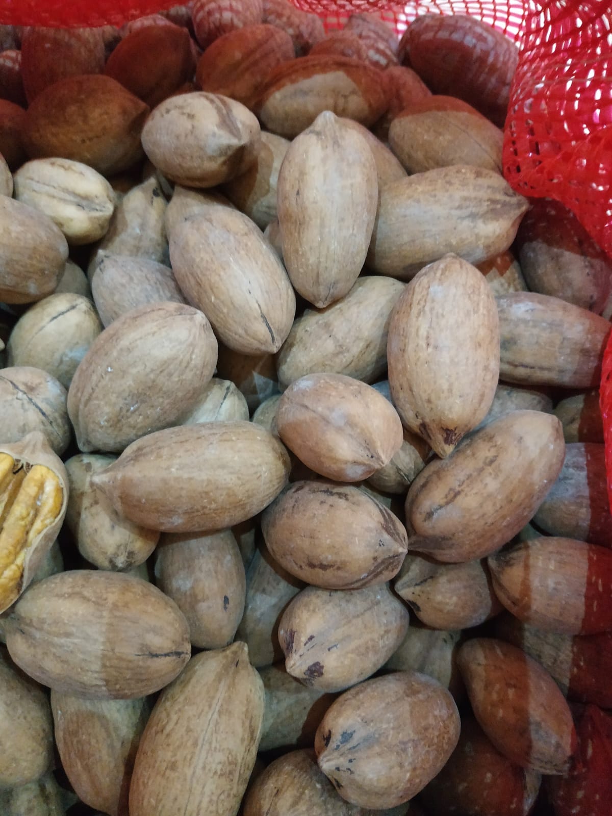 Bizden Görüntüler