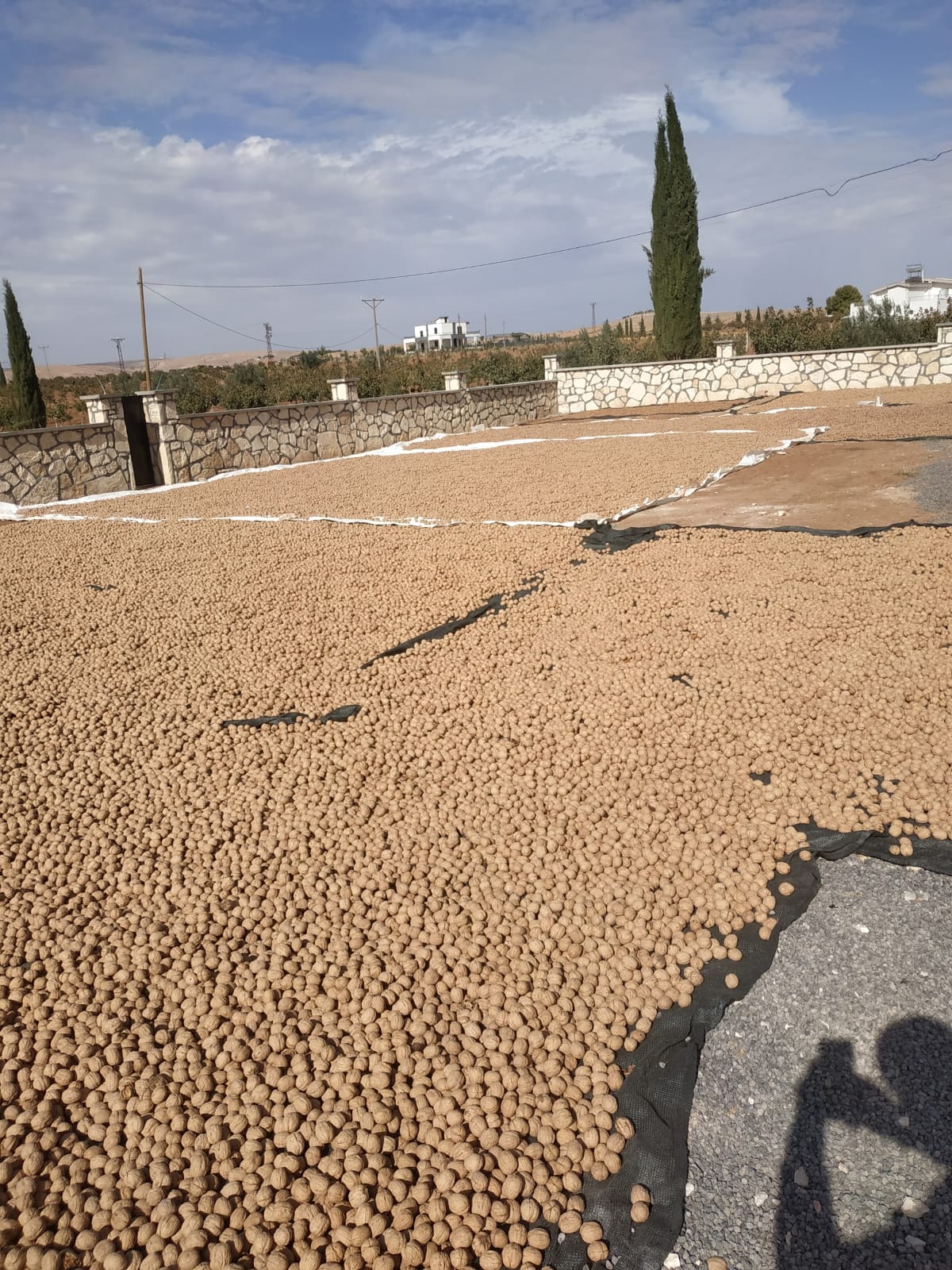 Bizden Görüntüler